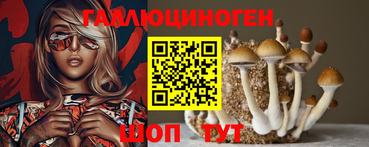 Осинники  Галлюциногенные грибы прущие грибы  Вход с VPN 